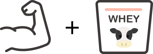 筋トレとプロテインのイラスト